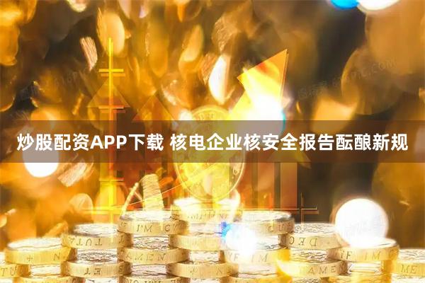 炒股配资APP下载 核电企业核安全报告酝酿新规