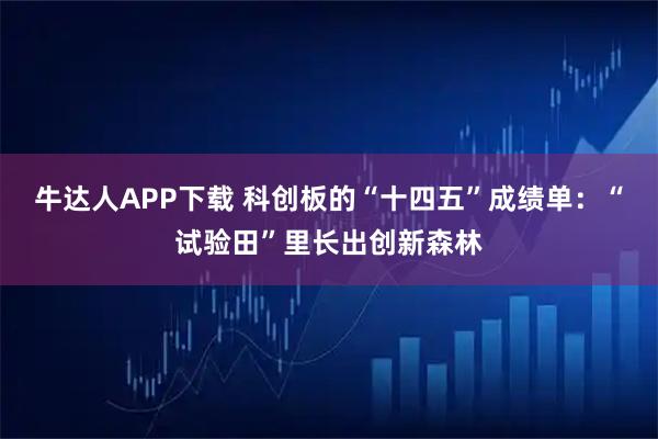 牛达人APP下载 科创板的“十四五”成绩单：“试验田”里长出创新森林